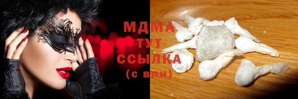 ПСИЛОЦИБИНОВЫЕ ГРИБЫ Богданович