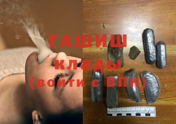ПСИЛОЦИБИНОВЫЕ ГРИБЫ Богданович