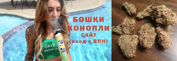 ПСИЛОЦИБИНОВЫЕ ГРИБЫ Богданович